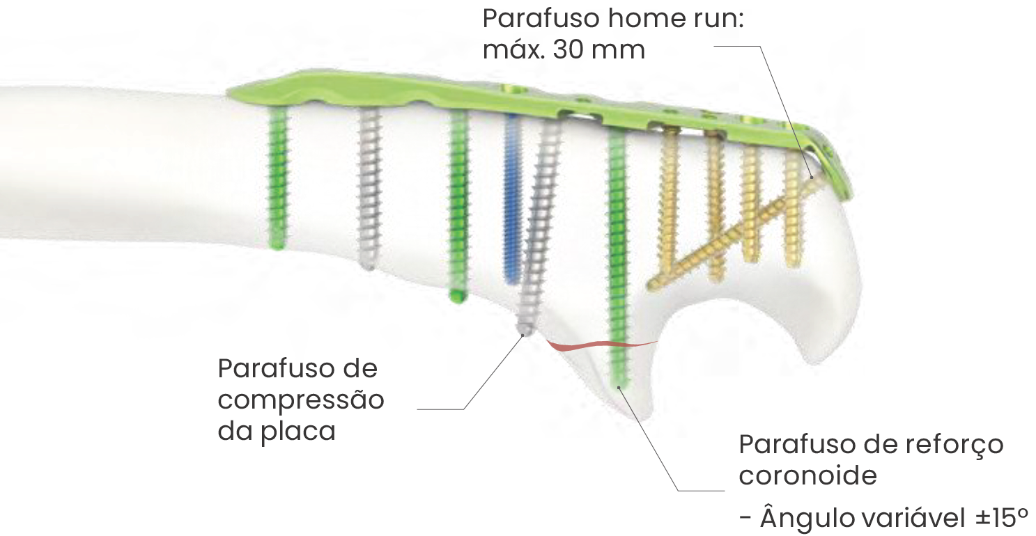 Imagem 22